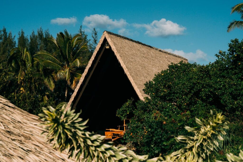 Wonen in een huis met rieten dak: karakter en comfort