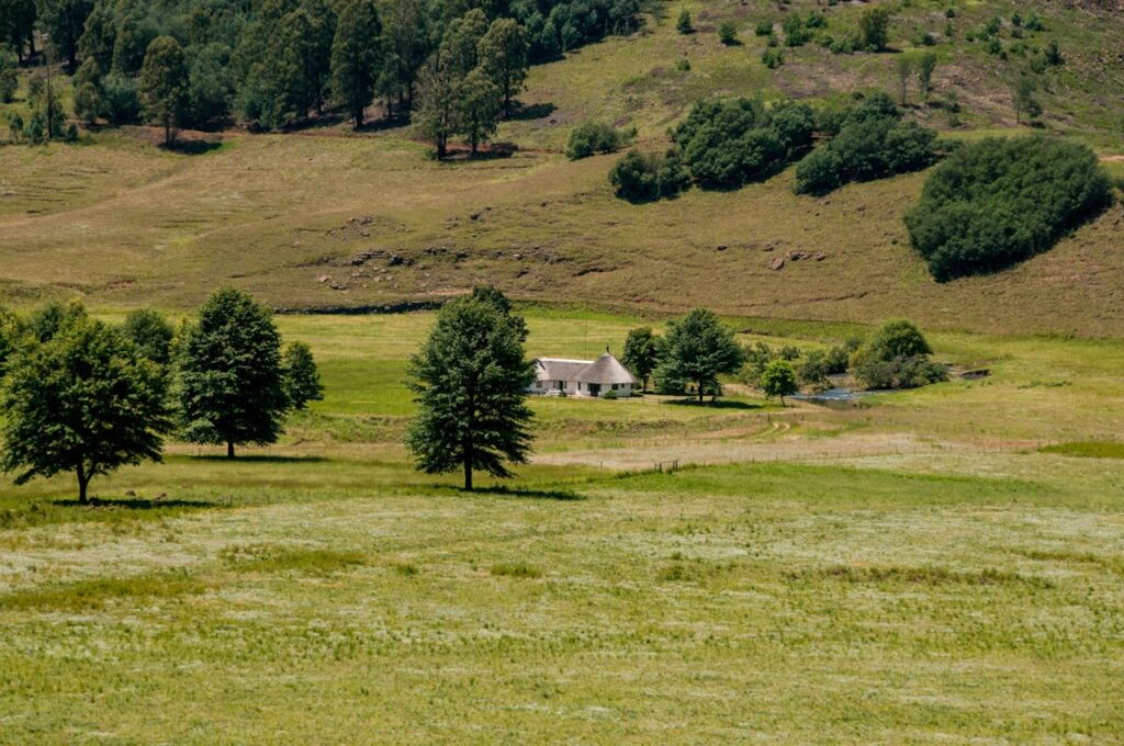 Een huis met een rieten dak: sfeer, onderhoud en isolatie